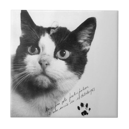 Carreau Félicette : Le premier chat dans l'espace (Devant)