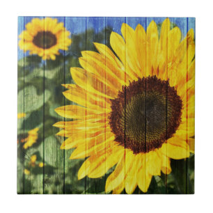 Carreau Fence painted de Sunflowers