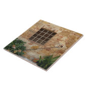 Carreau Fenêtre et mur en pierre ancienne, Pienza, Italie (Côté)