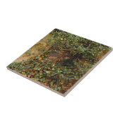 Carreau Fenêtre hantée   (Côté)