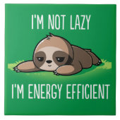 Carreau Fente Animée (Devant)