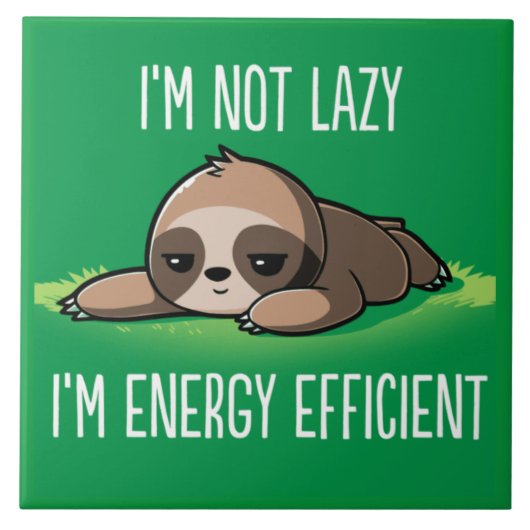 Carreau Fente Animée (Devant)