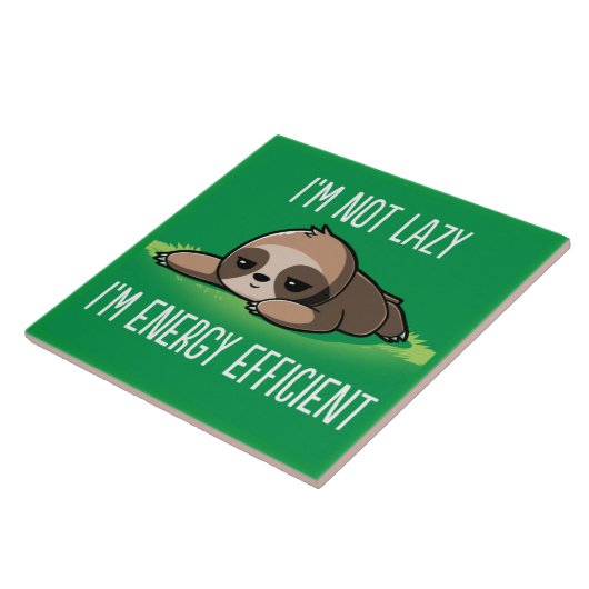 Carreau Fente Animée (Côté)