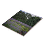 Carreau Ferme de Lavender (Côté)