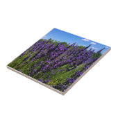 Carreau Ferme de Lavender (Côté)