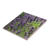 Carreau Ferme de Lavender (Côté)