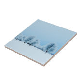 Carreau Ferme d'hiver (Côté)