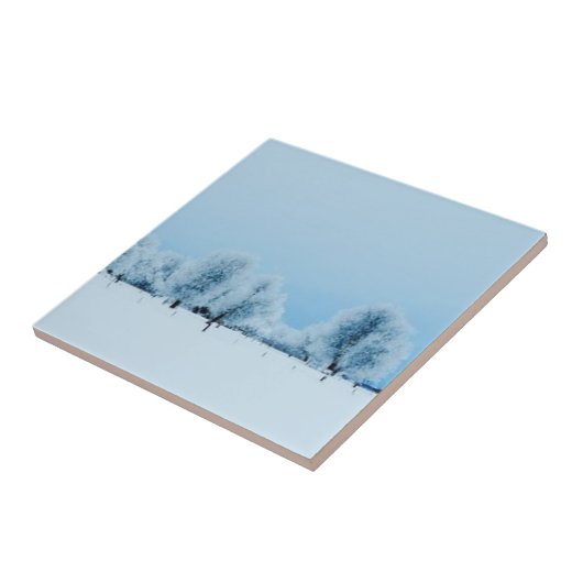 Carreau Ferme d'hiver (Côté)