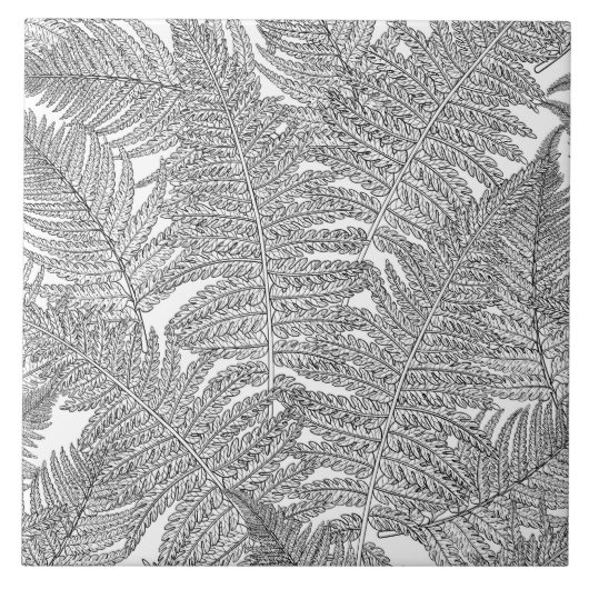 Carreau Ferme en noir et blanc (Devant)