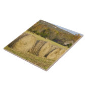 Carreau Ferme historique dans la rivière nationale Buffalo (Côté)