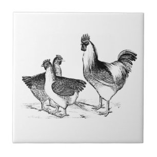 Carreau Ferme rustique poulet animaux cuisine