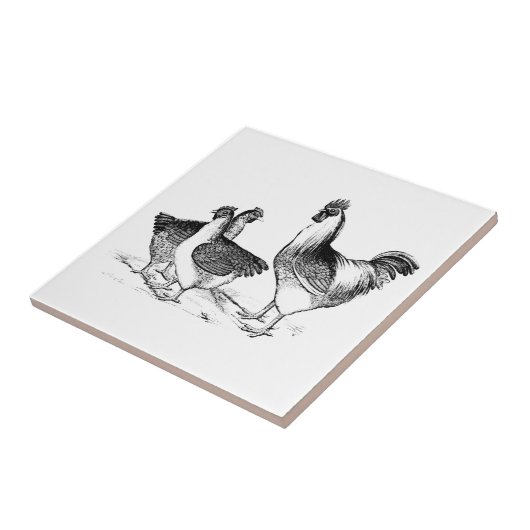 Carreau Ferme rustique poulet animaux cuisine (Côté)