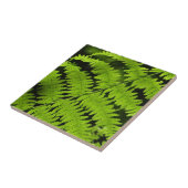 Carreau Ferme verte (Côté)