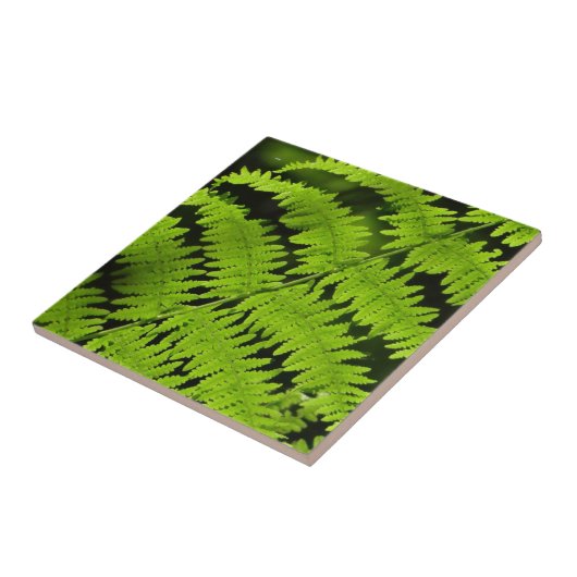 Carreau Ferme verte (Côté)