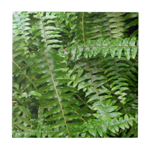 Carreau Fermer Fronds I Green Nature