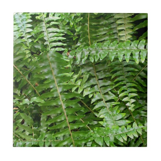 Carreau Fermer Fronds I Green Nature (Devant)