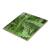 Carreau Fermer Fronds I Green Nature (Côté)