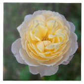 Carreau Fermer Rose jaune pastel (Devant)