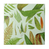 Carreau Fermes botaniques Vintages (Devant)