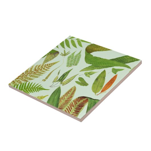 Carreau Fermes botaniques Vintages (Côté)