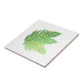 Carreau Fermes forestières vertes de forêt de bois fougère (Côté)