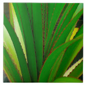 Carreau Fermeture de la colonne vertébrale (Devant)