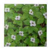 Carreau Fermeture de la myrtille aux fleurs blanches (Devant)