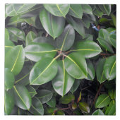 Carreau Fermeture de l'arbre en caoutchouc (Devant)