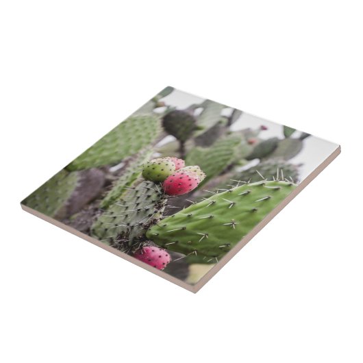 Carreau Fermeture Des Cactus De Pires (Côté)