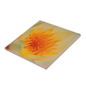 Carreau Fermeture D'Une Lys D'Eau (Côté)