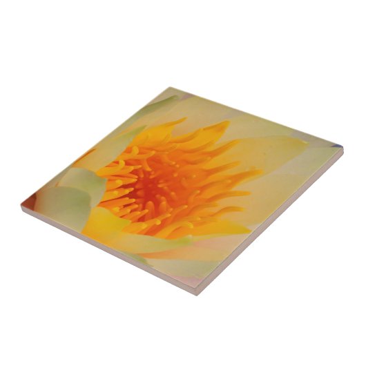 Carreau Fermeture D'Une Lys D'Eau (Côté)