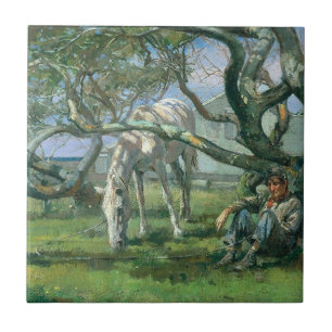 Carreau Fermier et cheval à Nantucket (Paysage rural)