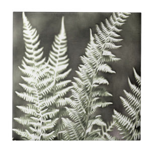 Carreau Fern Artistic Abstrait