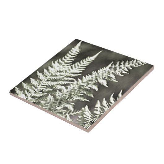 Carreau Fern Artistic Abstrait (Côté)