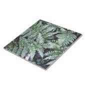 Carreau Fern Tropical Green Feuille Plante Forêt forestier (Côté)