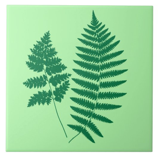 Carreau Ferne des bois, émeraude et vert clair (Devant)