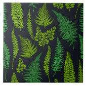 Carreau Ferns (Devant)