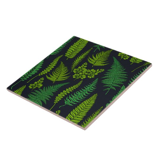 Carreau Ferns (Côté)