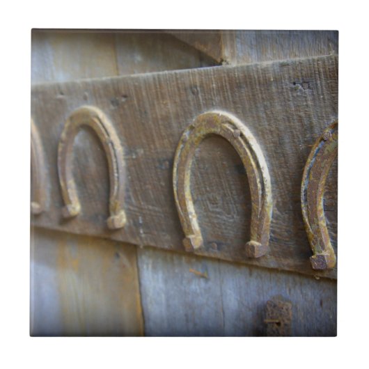 Carreau Fers à cheval (Devant)