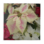 Carreau Fêtes colorées Poinsettias Floral (Devant)