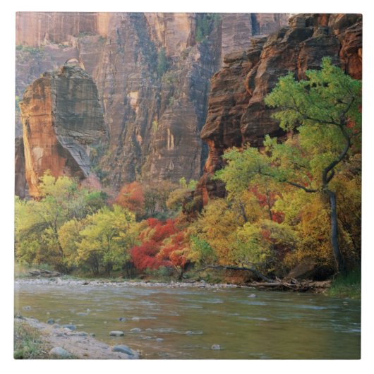 Carreau Feuillage d'automne le long de la rivière Virgin p (Devant)