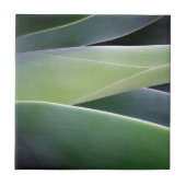 Carreau Feuille d'agave (Devant)