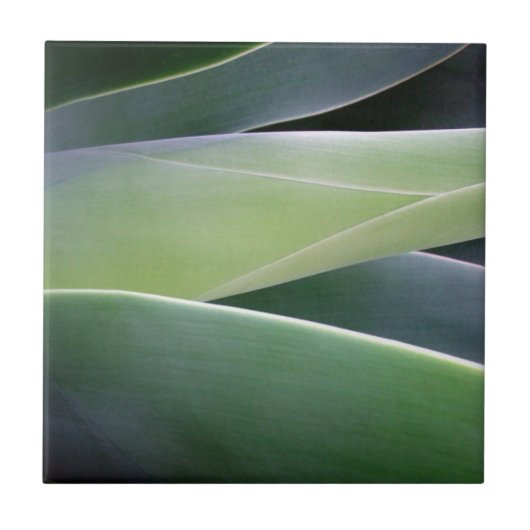 Carreau Feuille d'agave (Devant)