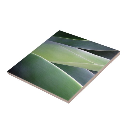 Carreau Feuille d'agave (Côté)
