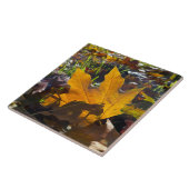 Carreau Feuille d'automne au soleil (Côté)