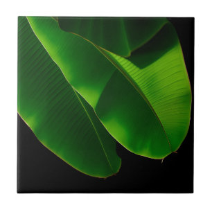Carreau Feuille de bananier verte vibrante Tropical rappro