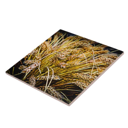 Carreau Feuille De Blé - Merci (Côté)