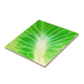 Carreau Feuille de choux (Côté)