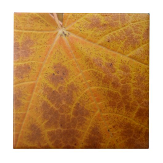 Carreau Feuille de Érable Jaune Automne Abstrait Nature (Devant)