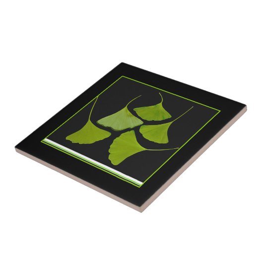 Carreau feuille de ginkgo (Côté)